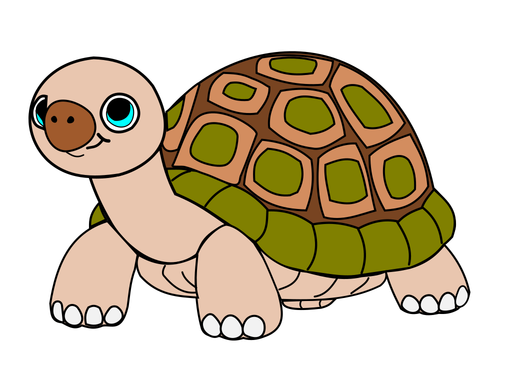 Tortue géante