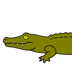 Crocodile