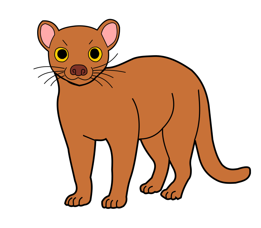 Fosa