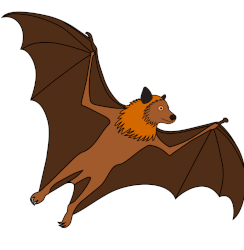 Chauve-souris géante