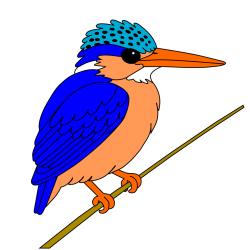 Martin-pêcheur malachite