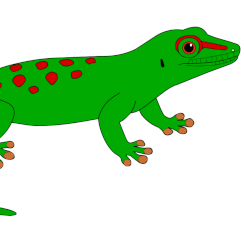 Lézard Phelsuma
