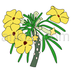 Uncarina